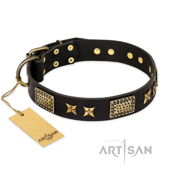 Designer full grain natural leather dog collar with strong hardware