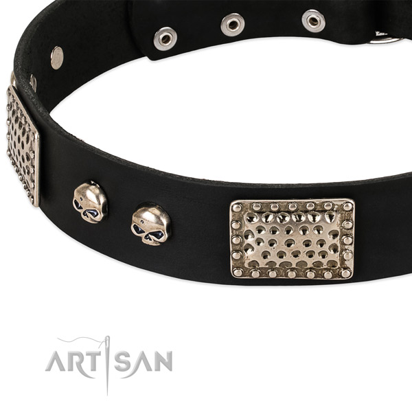 Strong buckle on genuine leather dog collar for your four-legged friend