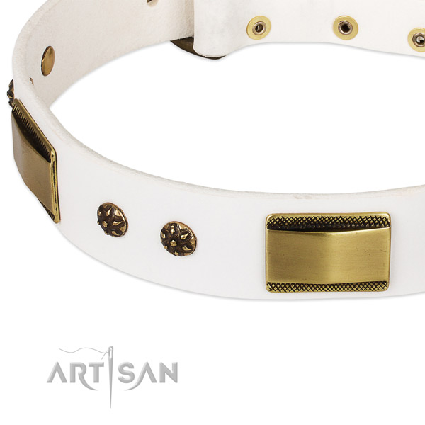 Rust-proof traditional buckle on leather dog collar for your doggie