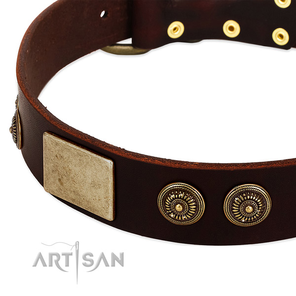 Strong adornments on genuine leather dog collar for your four-legged friend