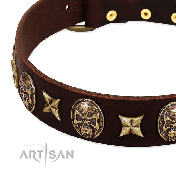 Corrosion resistant traditional buckle on genuine leather dog collar for your pet