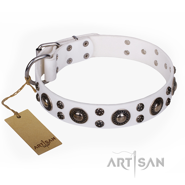 Daily walking dog collar of strong full grain leather with adornments
