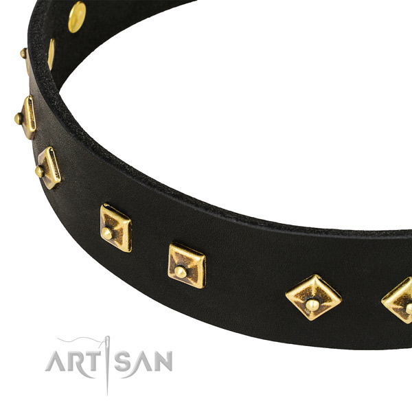 Exceptional genuine leather collar for your attractive doggie