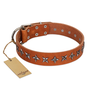 "Star Trek" FDT Artisan Tan Leather Swiss Mountain Dog Collar Decorated with Stars
