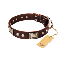"Pirate Skull" FDT Artisan Brown Leather Swiss Mountain Dog Collar with Old Silver Look Plates and Skulls