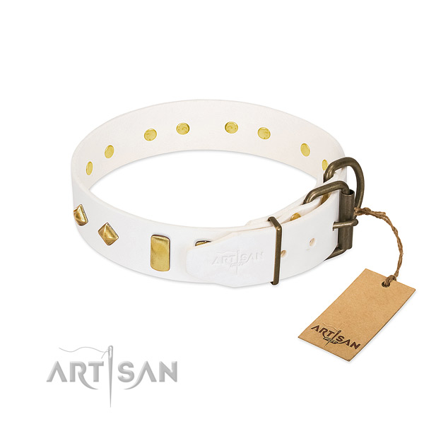 Top notch full grain natural leather dog collar with rust resistant traditional buckle