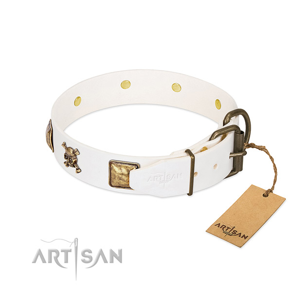 Comfy wearing full grain genuine leather dog collar with stylish embellishments