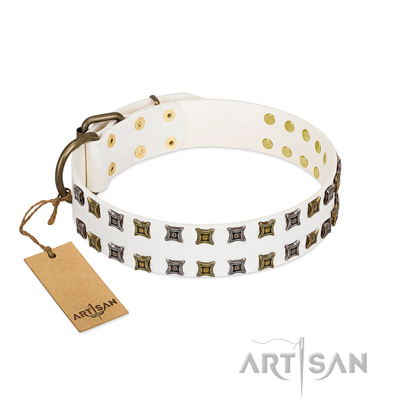 Full grain leather collar with unique studs for your pet
