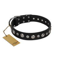 "Genteel Charm" FDT Artisan Black Leather Swiss Mountain Dog Collar with Silver-like Round Conchos