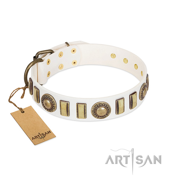 Stunning leather dog collar with durable buckle