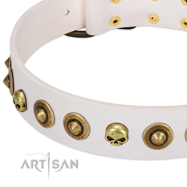 Designer decorations on full grain natural leather collar for your dog