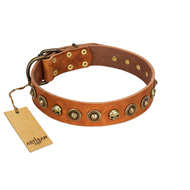 "Prez of the Pack" FDT Artisan Tan Leather Swiss Mountain Dog Collar with Skulls and Brooches