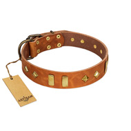 "Woofy Dawn" FDT Artisan Tan Leather Swiss Mountain Dog Collar with Plates and Rhombs