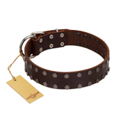 "Star Party" Handmade FDT Artisan Brown Leather Swiss Mountain Dog Collar with Silver-Like Studs