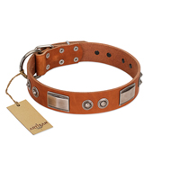 "Pawsy Glossy" FDT Artisan Exclusive Tan Leather Swiss Mountain Dog Collar 1 1/2 inch (40 mm) wide