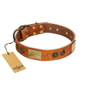 "Bronze Century" FDT Artisan Tan Leather Swiss Mountain Dog Collar with Plates and Brooches with Cool Ornament