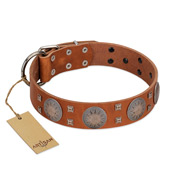 "Sun Rise Noon" FDT Artisan Tan Leather Swiss Mountain Dog Collar with Unique Design