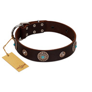"Magic Stones" FDT Artisan Brown Leather Swiss Mountain Dog Collar with Chrome Plated Brooches and Studs