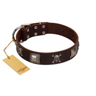 "Nut-Brown Finery" Embellished FDT Artisan Brown Leather Swiss Mountain Dog Collar with Chrome Plated Crossbones and Plates