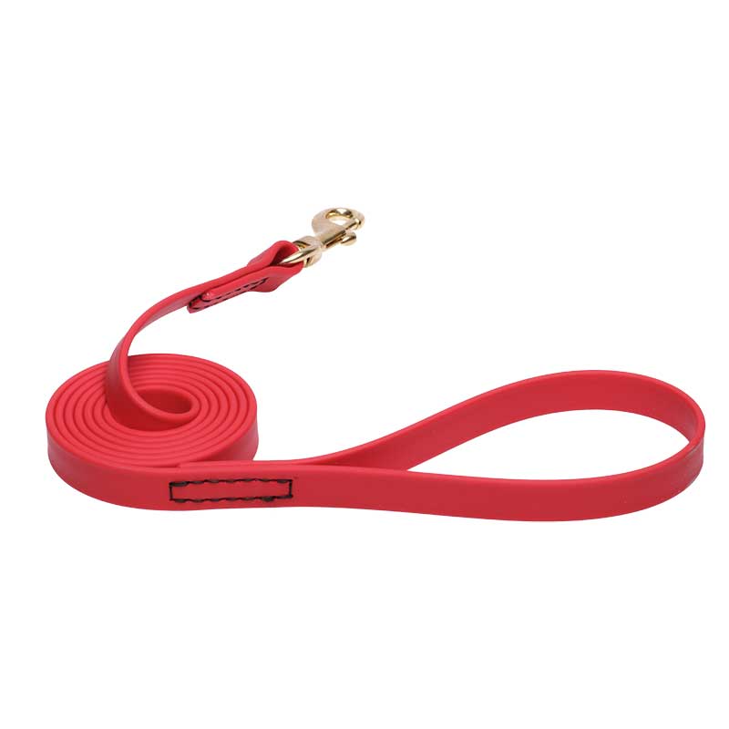 Red Waterproof Swiss Mountain Dog Leash Made of Biothane