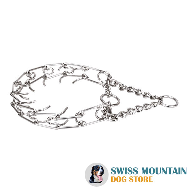 Corrosion proof O-ring on stainless steel prong collar
