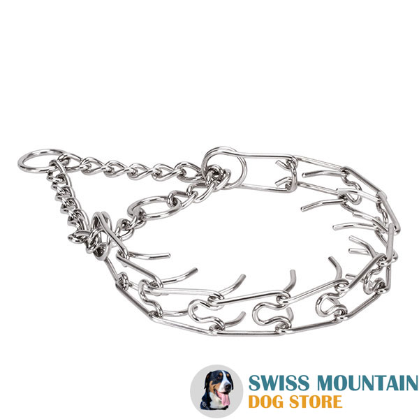 Rust resistant stainless steel pinch collar for badly behaved canines