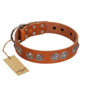 "Woofy Majesty" FDT Artisan Tan Leather Swiss Mountain Dog Collar with Round Silver-like Plates