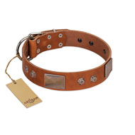 "Great Obelisk" Handcrafted FDT Artisan Tan Leather Swiss Mountain Dog Collar with Large Plates and Pyramids