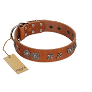 "Splendid Armor" Premium Quality FDT Artisan Tan Designer Swiss Mountain Dog Collar with Shields and Stars