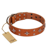 "Tawny Beauty" FDT Artisan Tan Leather Swiss Mountain Dog Collar Adorned with Stars and Tiny Squares