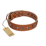 "Silver Age" Fashionable FDT Artisan Tan Leather Swiss Mountain Dog Collar with Silver-Like Studs